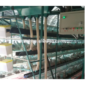 High Quality Cages For Chicken Shed